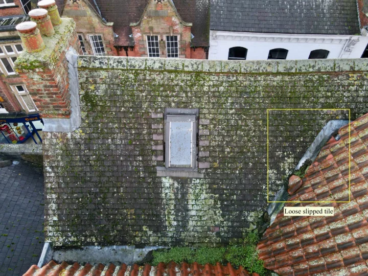 Housing survey — roofline / estate